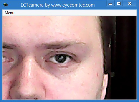Selecting desired fragment of the image. Scale – 200%, one eye focus